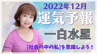 一白水星　「社会の中の自分」を意識しよう　2022年12月の運気・運勢　見るだけで開運　オラクルカード×九星気学　占い