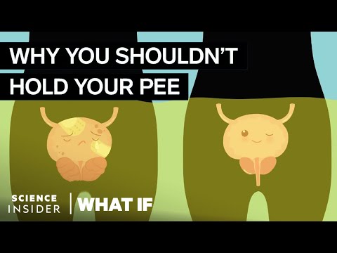 What Happens If You Hold Your Pee In For Too Long What Happens If You Hold Your Pee In For Too Long