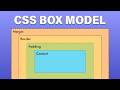 CSS Box Model Made Simple: Learn Margin, Padding & Border Like a Pro