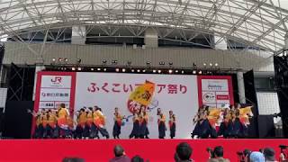 APUよっしゃ虎威 ふくこいアジア祭り 2019演舞