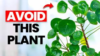 DON'T WASTE YOUR TIME With These 10 Nightmare Plants