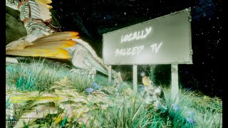 SURVIVING ELITE ARK FOR A MONTH - EPISODE 1