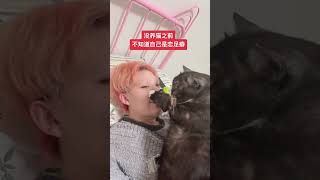 好闻爱闻巧克力味 小猫是平淡生活的解药 谁能拒绝傻憨憨的小猫咪 铲屎官的乐趣 反差