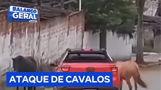 Cavalos atacam pessoas e bloqueiam trânsito na zona sul de São Paulo