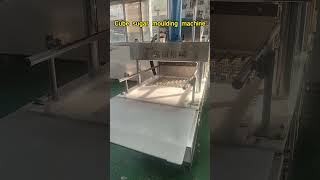 Cube sugar moulding machine、Hydraulic powder briquetting machine