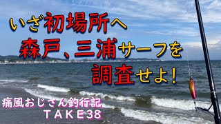 【森戸、三浦サーフ】新しい釣り場を発見したいんじゃ(痛風おじさん釣行記take38)