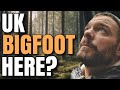 WTF! BIGFOOT IN THE UK? UK BIGFOOT SIGHTINGS 2024