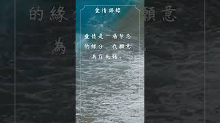 每日一句愛情語錄 浪漫愛情語錄分享 心動的愛情句子 愛的名言 EP 15 #shorts #感情語錄 #心動 #愛的名言 #傷感語錄