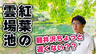 【今年の紅葉いつもと違う・・・】いつがベスト？？地元民が軽井沢の紅葉の様子をお伝えします！