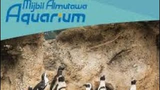 🥰🐬🐍Mijbil Almutawa Aquarium Kuwait🇰🇼[குவைத்தின் அறிவியல் மையம் கண்டுபிடிப்பு🐋🐢#safaskuwait25#