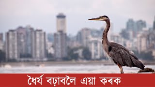 ধৈর্য বঢ়াবলৈ এয়া কৰক | Do this to increase patience | Bikash Kalita