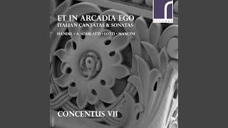 Pensieri notturni di Filli, HWV 134: IV. Ha l’inganno il suo diletto