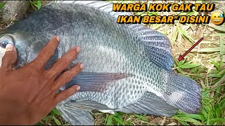 Beruntung nemu spot mancing tersembunyi ikanya besar\