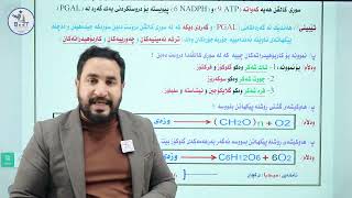 زیندەزانی 11 | م.محمد قاسم (بەندی دووەم وانەی 4) ، پەیمانگای بێست 12