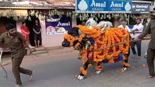 sirsi Marikamba kona / ಸಿರ್ಸಿ ಮಾರಿ ಕೋಣ