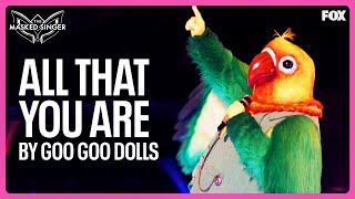 Lovebird Performs “All That You Are” by the Goo Goo Dolls | Season 11 | The Mask