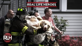 Real Life Heroes #48 2019 Good People Still Exist Compilation