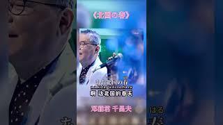 邓丽君 千昌夫 デュエット合成映像 《北国の春》永远的邓丽君1048 #shorts