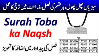 Surah Toba ka Naqsh e Sulemani | Fasal Zaraat ki taraqi ka powerful wazifa | Taweez Amliyat: 195