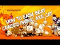 HOW TO EASY BEAT CRAZED/MANIC AXE CAT#THEBATTLECATS