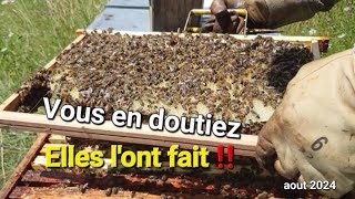 ▶️ Vous en doutiez❓️Et pourtant!! 😉 #apiculture