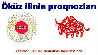 2023: Öküz ilinin proqnozları