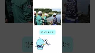 ✔녹조 체크~! 이제 녹조는 K-water가 해결한다! 😎