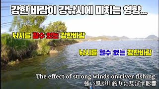 (Fishing the Bass)#41. The effect of strong winds on river fishing.