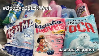 ASMR 🧺 Mexican Foca with the Blue Specks ✨ Blanca Nieves ✨ Roma ✨ Sponge Spirit Week - Laundry Day