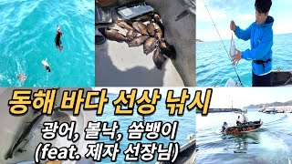 1타 3피, 1타 5피, 넣자마자 무는 물고기는?ㅣ동해 바다 낚시ㅣ광어, 볼낙, 우럭, 쏨뱅이