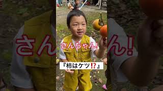 6【コヤカタくん】柿はケツ！？？  #あるある #shorts