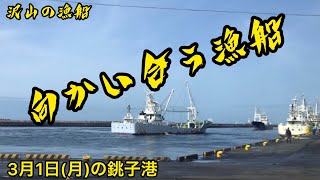 【3月1日(月)】昼の銚子港の風景 Afternoon's Choshi port!