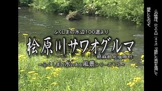 ふくしまの水辺１００選より　～北塩原村　桧原川サワオグルマ～（平成１２年６月撮影）