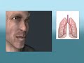 what is copd