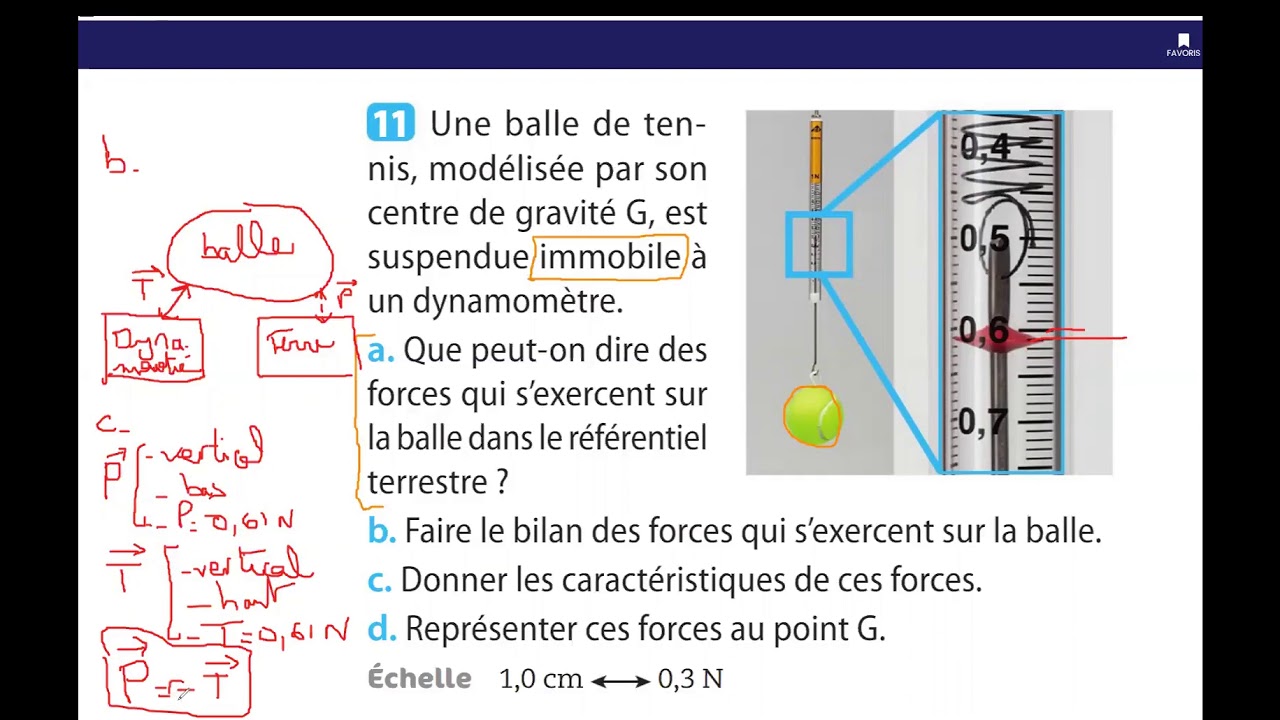 SECONDE 8 COURS DU 3 Avril PRINCIPE D'INERTIE ET CONTRAPOSEE - YouTube