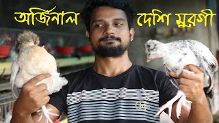 অর্জিনাল দেশি মুরগির খামার । দেশি মুরগি পালন । মুরগি পালন