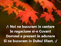 cele mai frumoase momente din viata negativ cu cuvinte