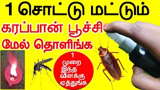 இத மட்டும் செயுங்க இனி கரப்பான்பூச்சி, கொசு தொல்லை இருக்காது |karappan poochi marunthu in tamil