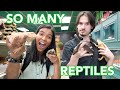 CRAZY REPTILE STORE TOUR!