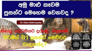 පූසන්ට අමු මාලු කන්න හොද නෑ කියන්නේ ඇයි? .Raw fish  not good for cats (Dr Dilan Rathnayaka)