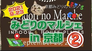 vol.18🌵 みどりのマルシェin京都②〜2021.9.23〜ブース紹介