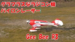 うどん県ラジコン飛行場2025-1-5　GeeBee、ラプター、マッドバード、エッジ540、エクリプス、デカスロン