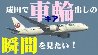 【成田空港】偶然の奇跡連発!?成田の着陸機が車輪（ギア）を出す瞬間のシーンを見るために出掛けてみよう！