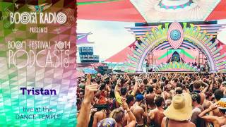 Tristan - Dance Temple 22 - Boom Festival 2014