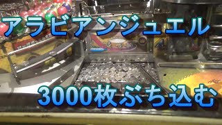 アラビアンジュエルで３０００枚投入してみた