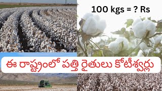 ఈ రాష్ట్రంలో పత్తి రైతులు కోటీశ్వర్లు || TeluguVlogsFromUSA || USATeluguVlogs || Nagesh