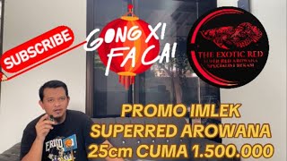 VLOG #5  PROMO IMLEK THE EXOTIC RED FLASH SALE  PRE ORDER SUPERRED AROWANA 25CM HARGA 1.5 JUTA SAJA