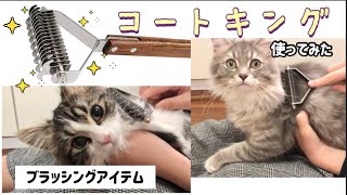 ＊コートキングでブラッシング＊ラムネとくるみ