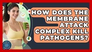 How Does The Membrane Attack Complex Kill Pathogens? - All About the Immune System