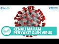 Sering Dianggap Sepele, Virus Bertaburan di Udara Bisa Picu Penyakit, dari Influenza hingga Covid-19